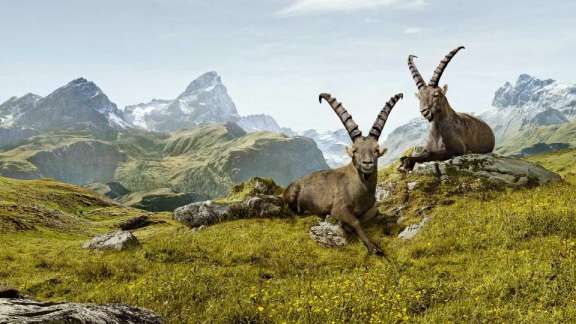 Une expérience dans les Grisons