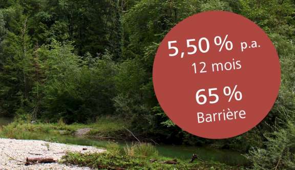 Possibilité attractive de placement!